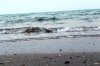 IMG_3448.jpg