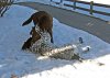 jule.cooper9.jpg jule.cooper9.jpg