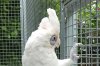 DSCF1168.JPG
