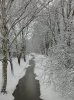 Winter Heidekampweg 005.jpg