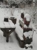 Winter Heidekampweg 012.JPG