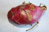 exoteIMG_1391.jpg