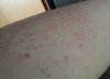 IMG_20160221_002836.jpg