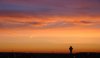 DSC07026ax.jpg