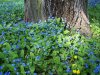 100_8615.jpg