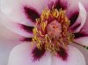 DSC09854.jpg