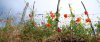 DSC05325a.jpg
