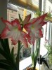 20160324_154206.jpg