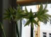 20160319_085856.jpg