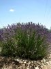 DSCN0351.jpg