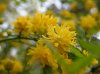 2016-04-10-KÃ¶ln-Flora-10.jpg