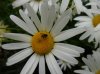 DSCN0229.jpg