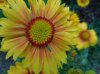 DSCN0294.jpg