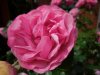 DSCN0274.jpg