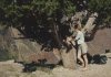 USA1995016x.jpg USA1995016x.jpg