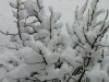 schneeCIMG8820.jpg