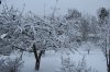 schneeIMG_1609.jpg