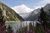DSC_1010.jpg