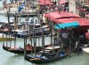 DSC02584.jpg
