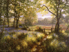 Natur.gif