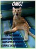aa3d07800788611450db8123e8dac471--rambo-html.jpg
