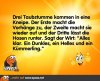 taubstumme-650x488.jpg