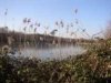 web. reuschenberger see 2).jpg