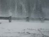 schnee4.jpg