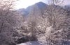 web. winterlandschaft bei hindelang.jpg