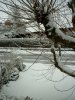schnee03.jpg