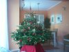 weihnachtsbaum.jpg