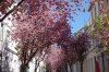 upload_2018-4-21_0-2-55.jpeg upload_2018-4-21_0-2-55.jpeg