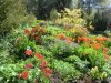 BlumenbergCIMG3709.JPG BlumenbergCIMG3709.JPG