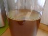 kombucha.jpg