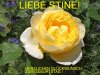 Geb.Stine´18.jpg