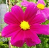 IMG_20180601_133107.jpg