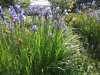 20170628_095659.jpg