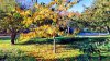 IMG_20181018_135822884_HDR-EFFECTS.jpg