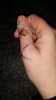 IMG-20181127-WA0016.jpeg