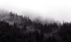 herbst2a.jpg