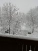IMG_20190106_092351.jpg
