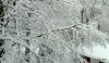 Winter ist zurück - 2019.jpg