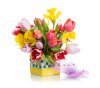 Blumen_.jpg