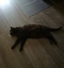 IMG_20190626_121830.jpg