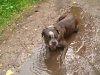 CIMG4044_20040105_184838.JPG CIMG4044_20040105_184838.JPG