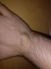 IMG_20191007_205955_943.jpg