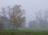 nebel1.jpg