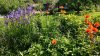 GartenJuni19.jpg GartenJuni19.jpg