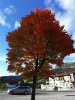 IMG_20201008_164557.jpg
