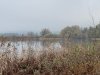 See im Herbstnebel.jpg